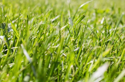 Outdoor Transformation Ideas Make Your Backyard Fun & Functional