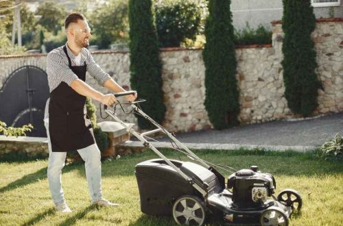 Lawn Care myth